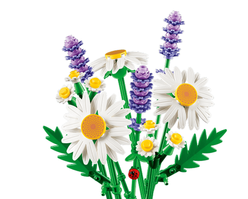 Daisies