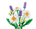 Daisies