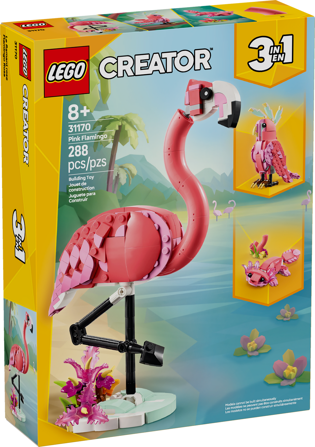 Wild Animals: Pink Flamingo