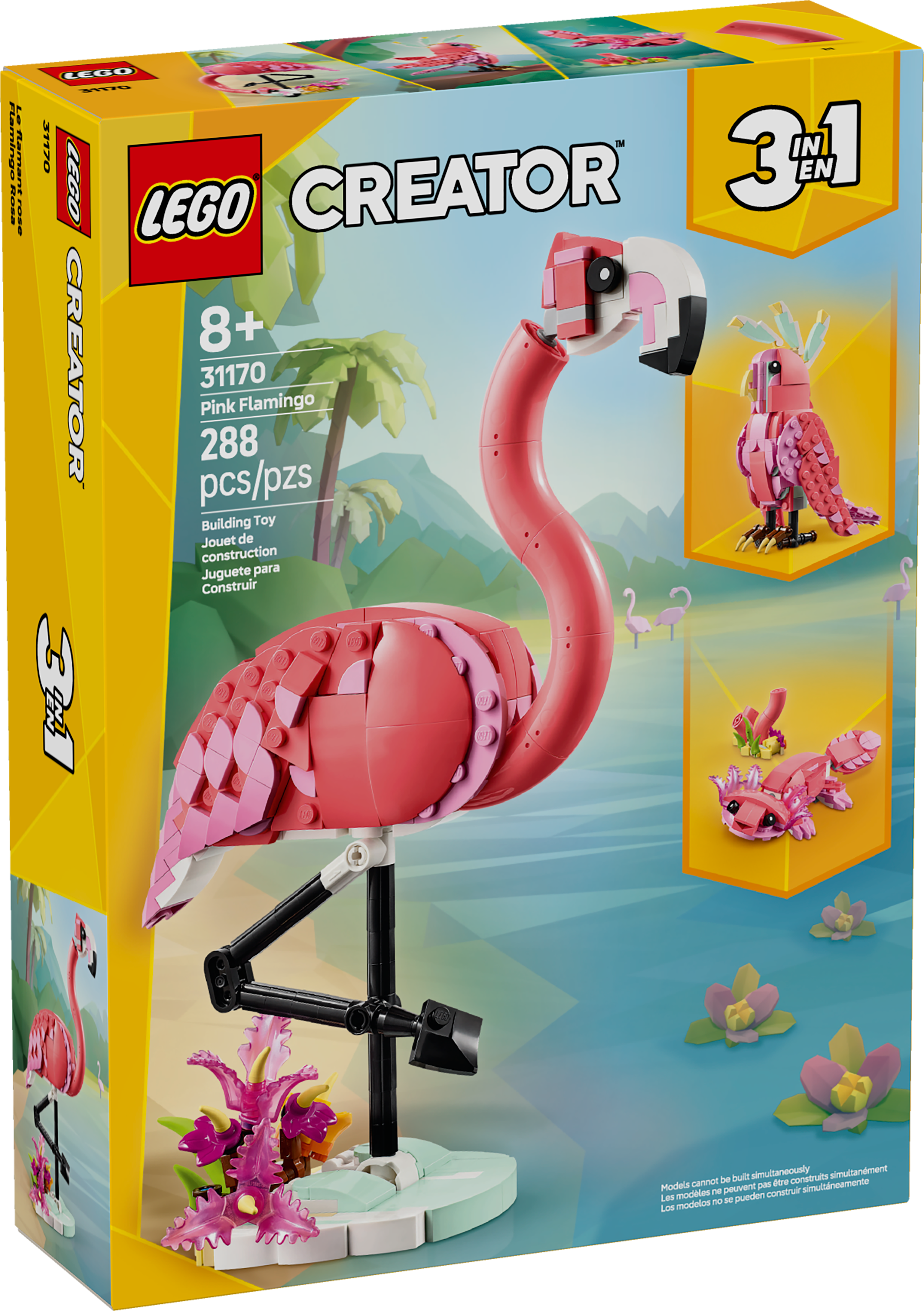 Wild Animals: Pink Flamingo