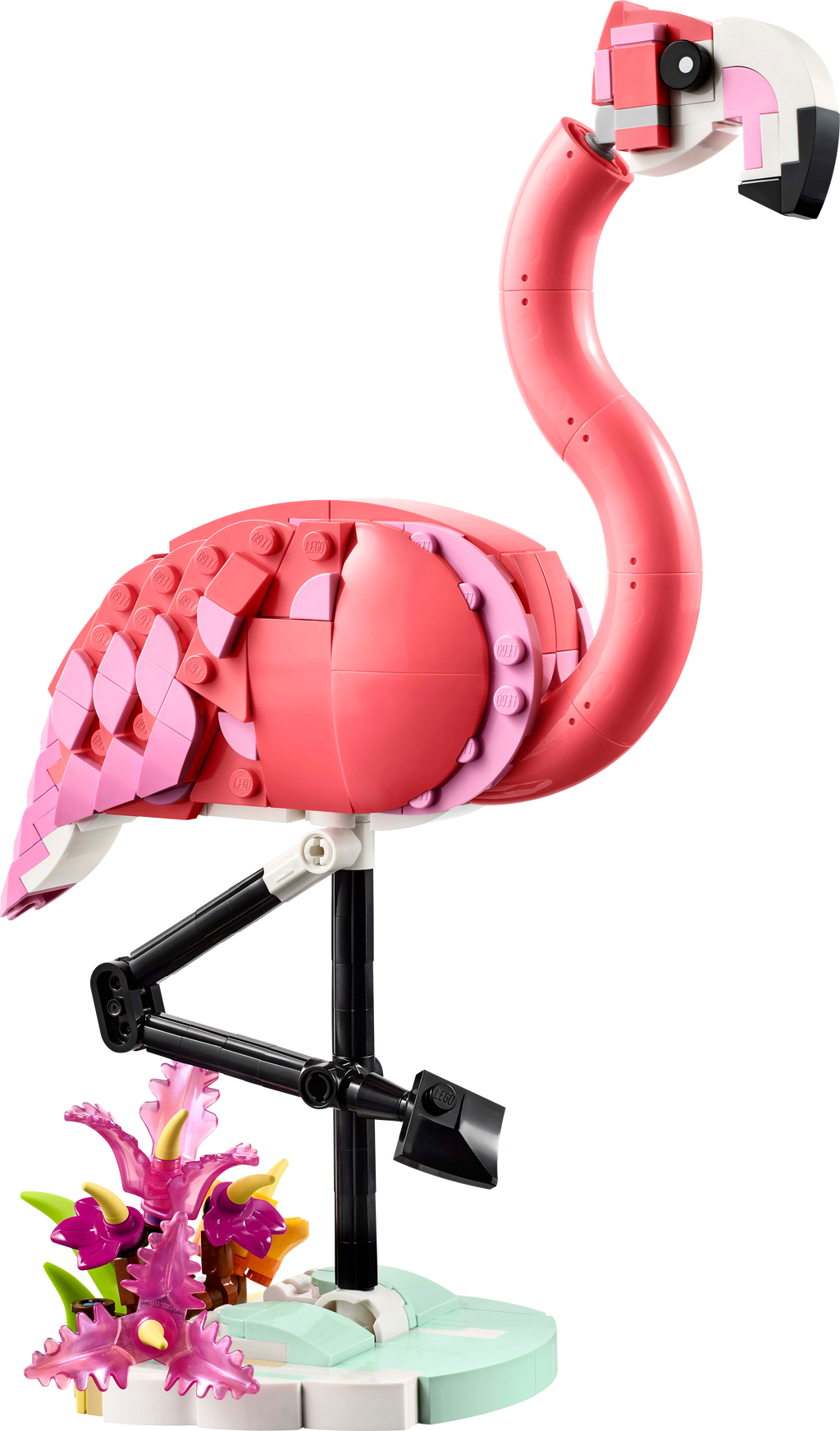 Wild Animals: Pink Flamingo
