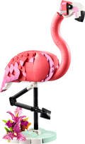 Wild Animals: Pink Flamingo