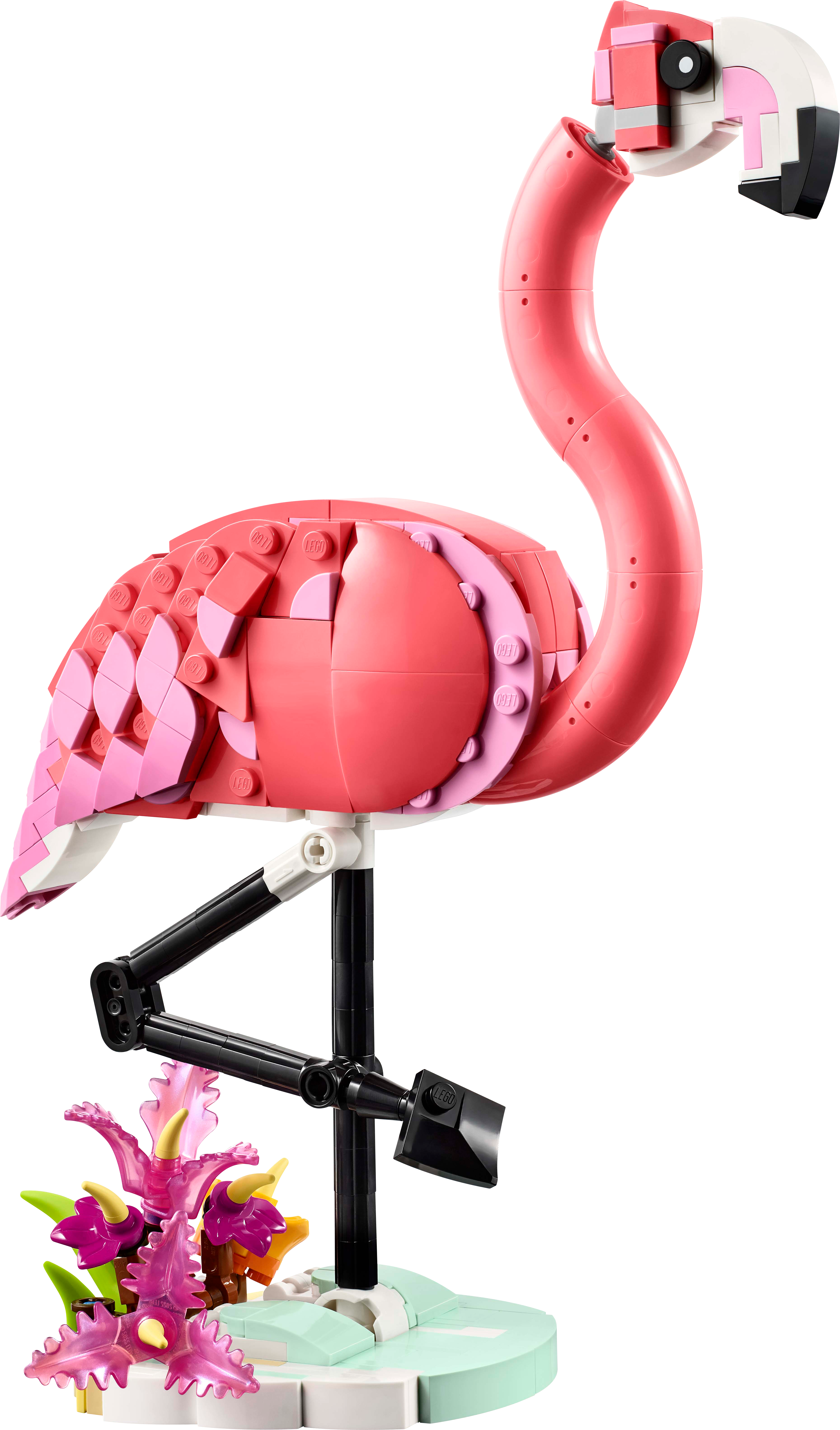 Wild Animals: Pink Flamingo