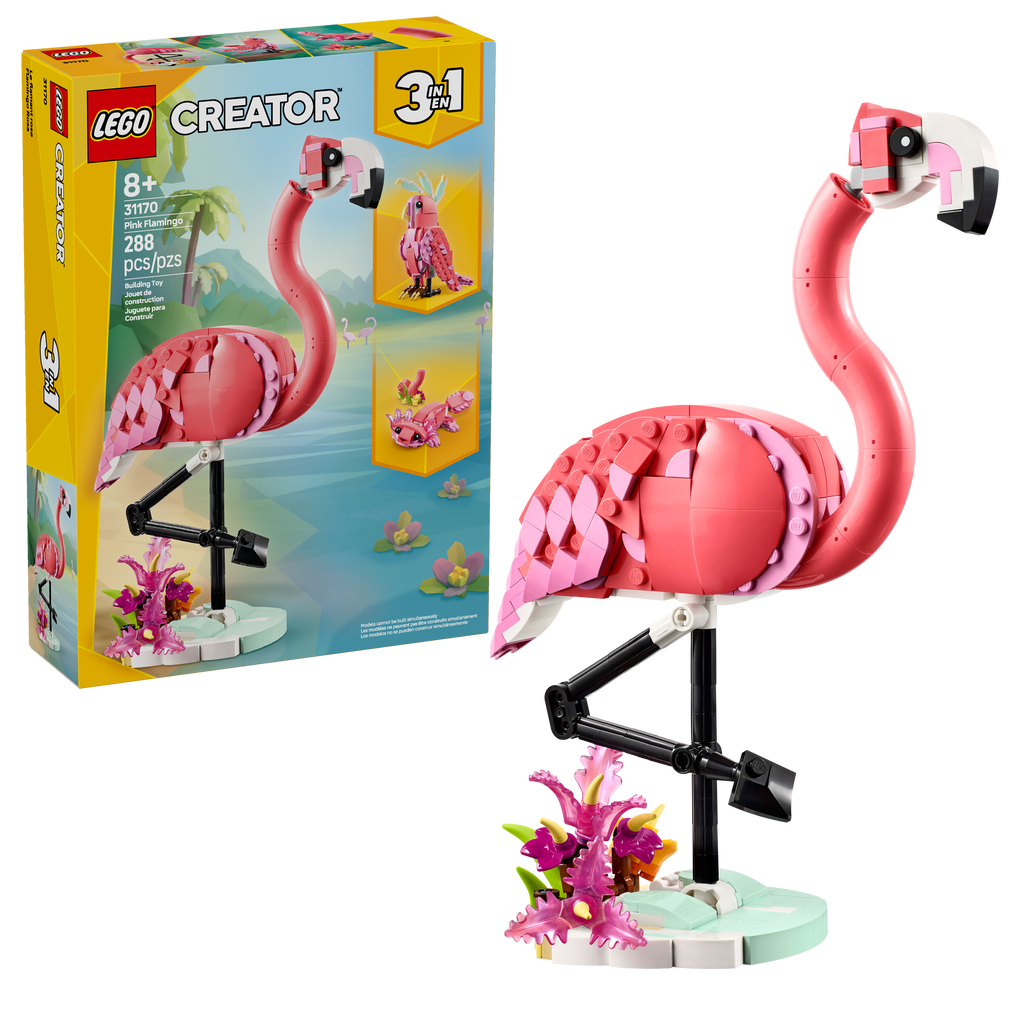 Wild Animals: Pink Flamingo