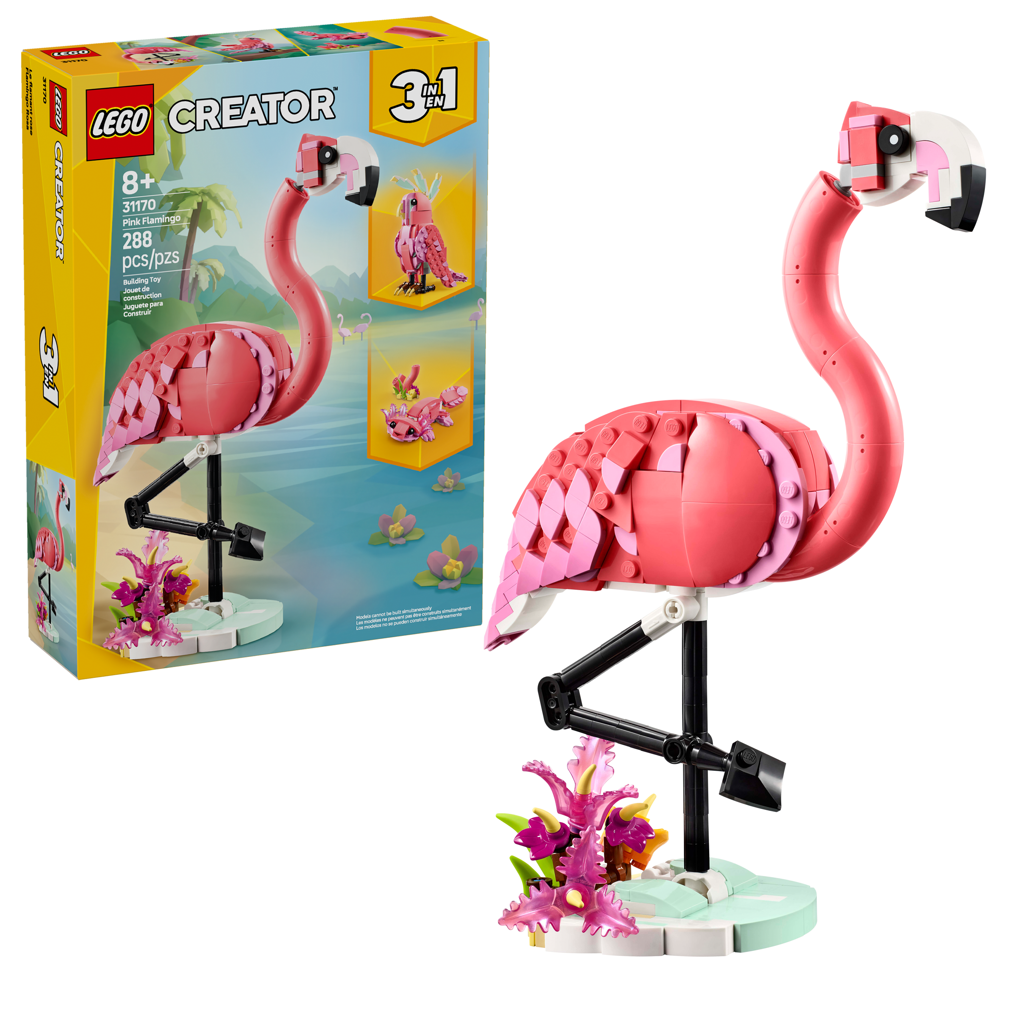 Wild Animals: Pink Flamingo