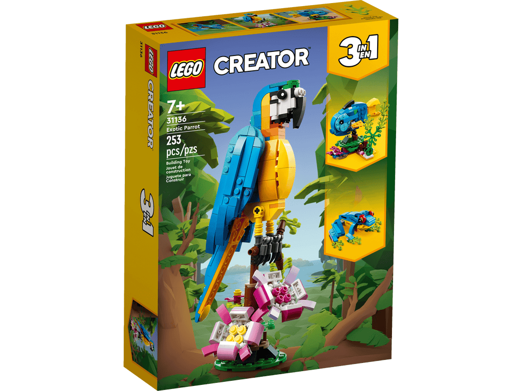 Exotic Parrot