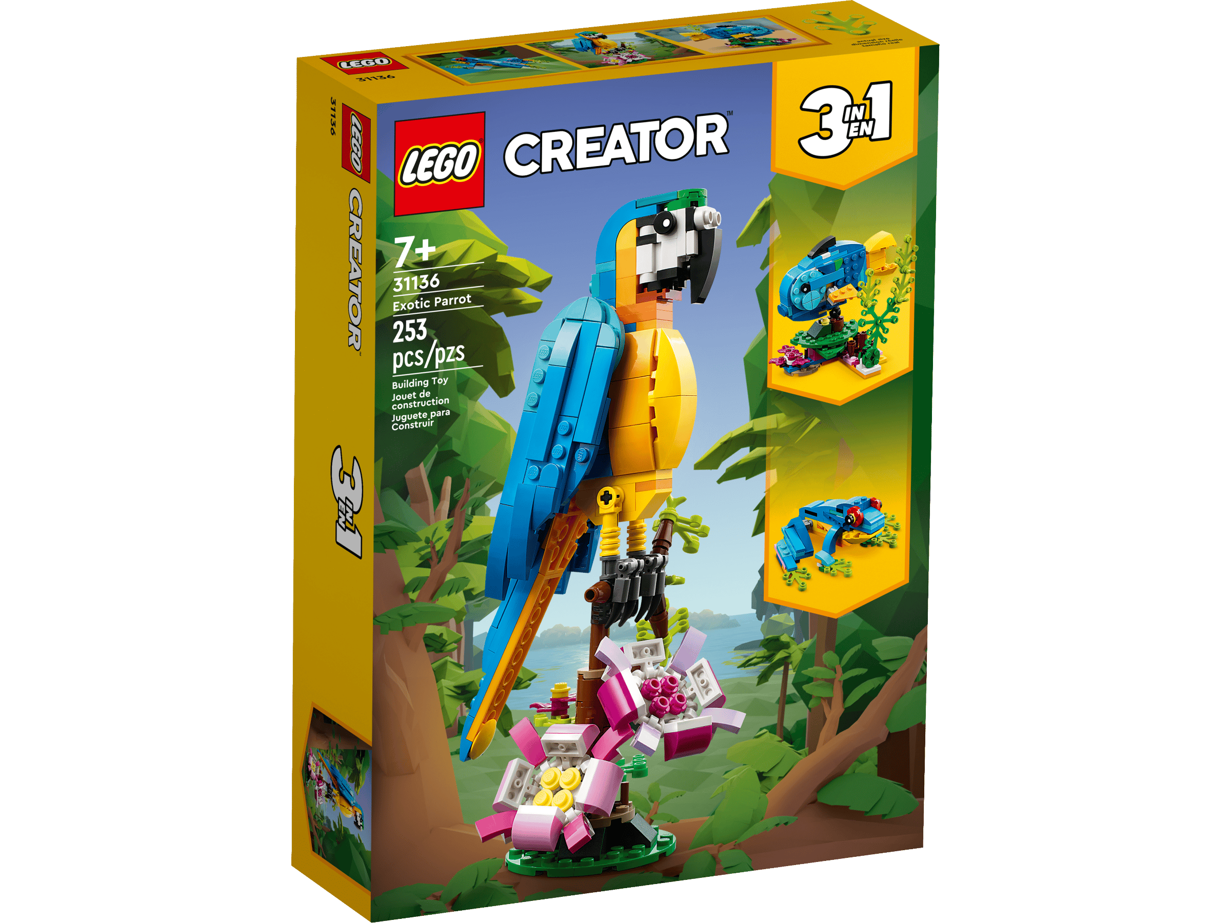 Exotic Parrot