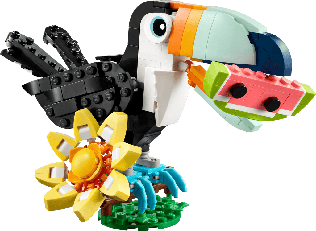 Wild Animals: Tropical Toucan
