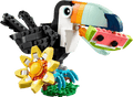 Wild Animals: Tropical Toucan