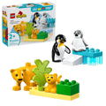 Wild Animal Families: Penguins & Lions