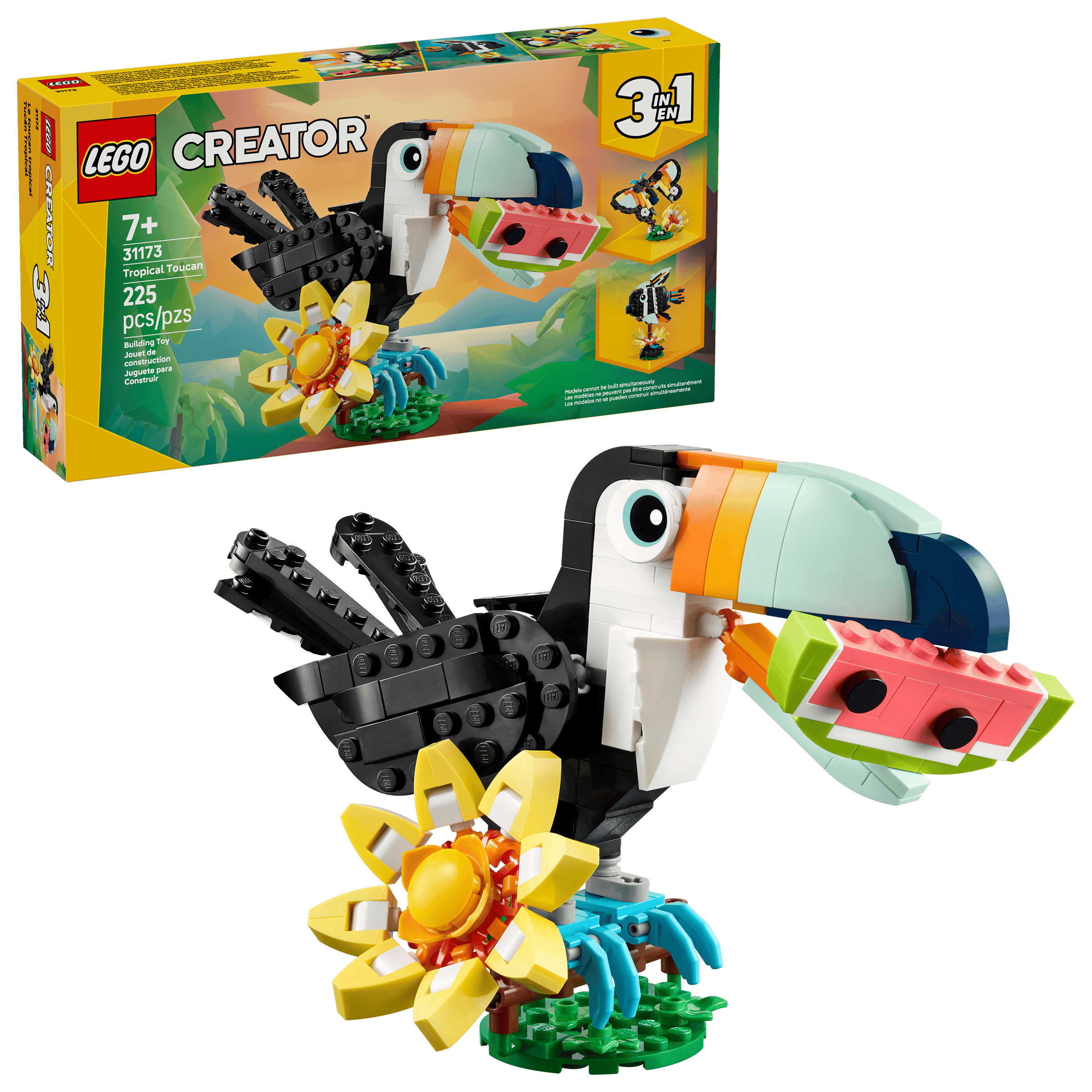 Wild Animals: Tropical Toucan