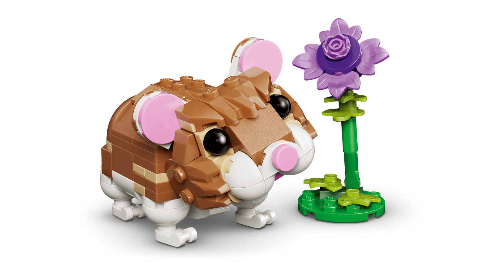 Cute Hamster with a Flower