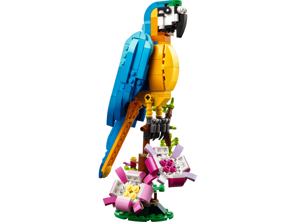 Exotic Parrot