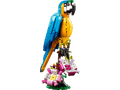 Exotic Parrot