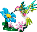 Wild Animals: Colorful Hummingbird