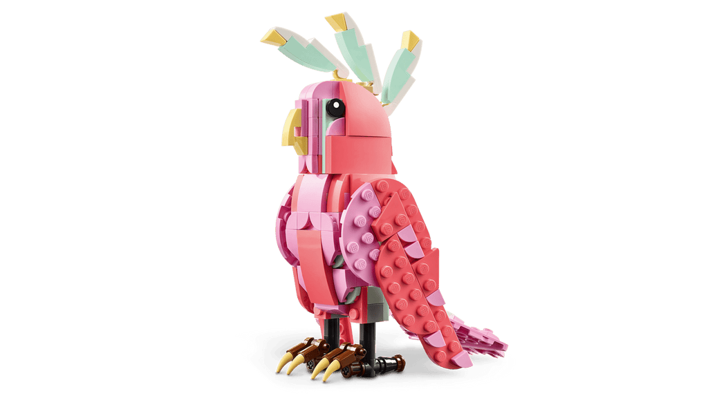 Wild Animals: Pink Flamingo