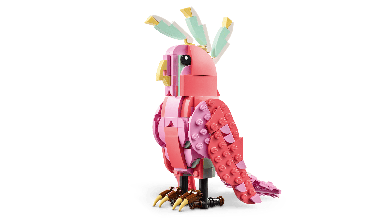 Wild Animals: Pink Flamingo