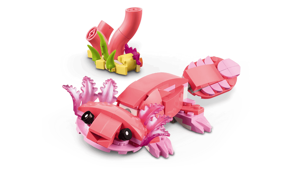 Wild Animals: Pink Flamingo