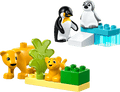 Wild Animal Families: Penguins & Lions