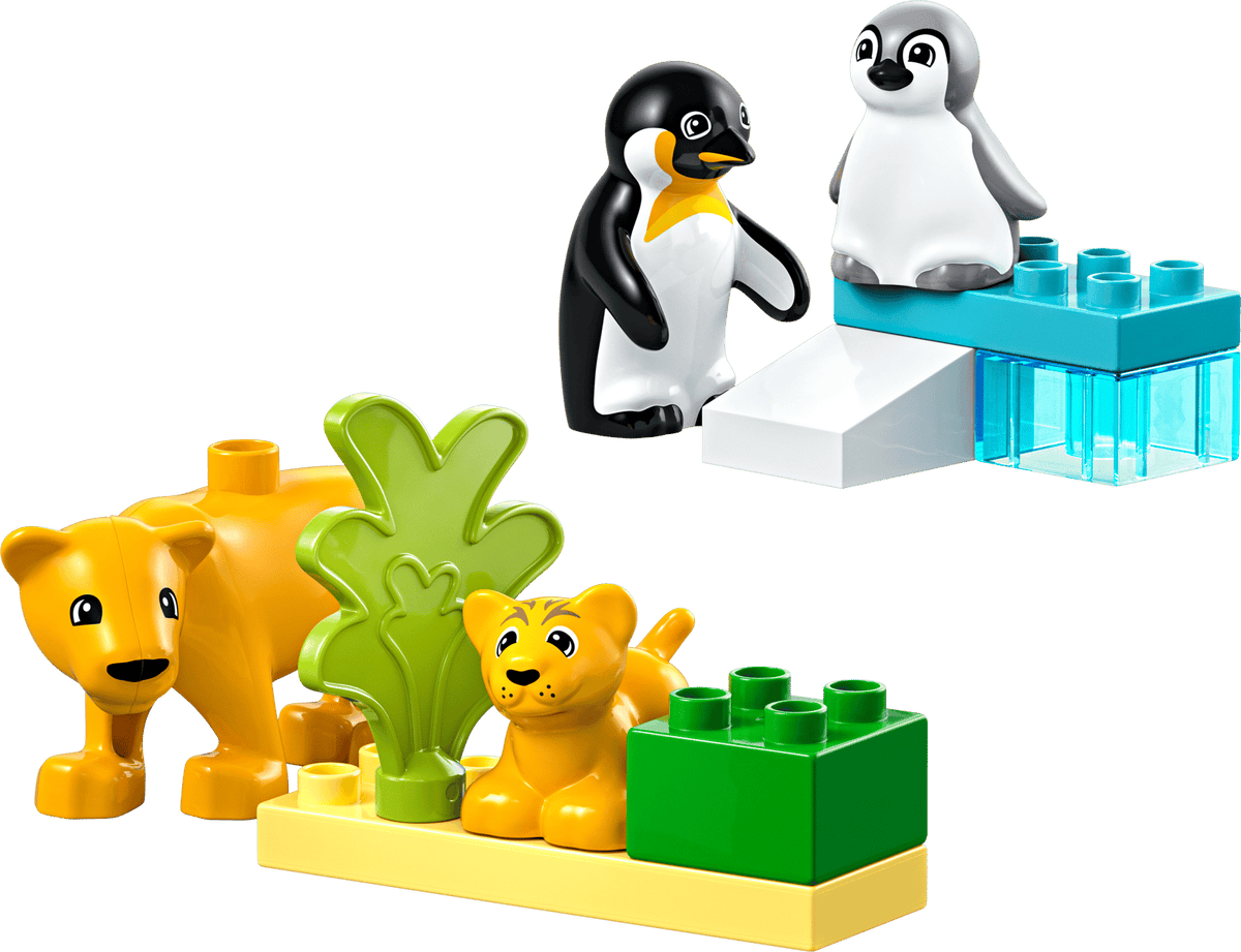 Wild Animal Families: Penguins & Lions